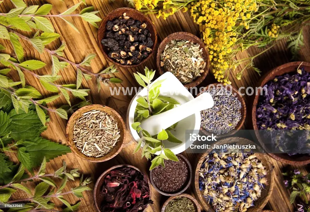 广州桑拿按摩