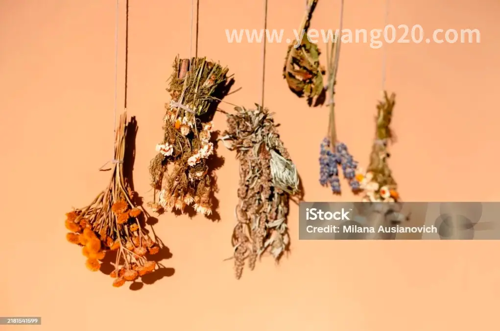 桑拿按摩