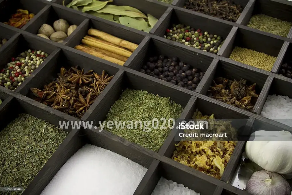 血液循环