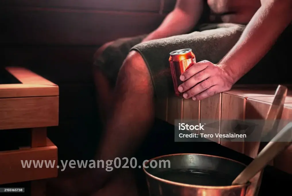 桑拿类型
