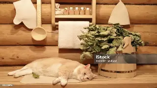 告别传统汗蒸！广州新式桑拿体验，让你瞬间身心舒畅，焕发新生！