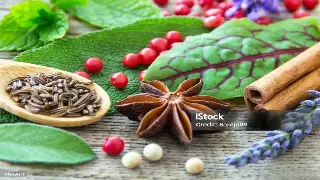 广州按摩新手必看：告别踩坑，从入门到精通的养生技巧大公开！