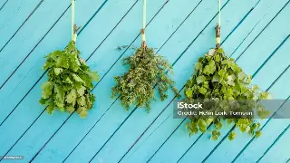 第一次去广州按摩？别慌！老司机带你飞：新手入门终极指南