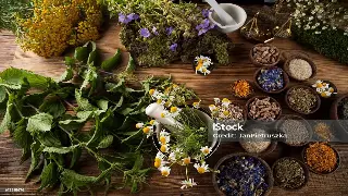 别再只知道洗澡啦！桑拿的隐藏益处，让你由内而外焕发光彩！