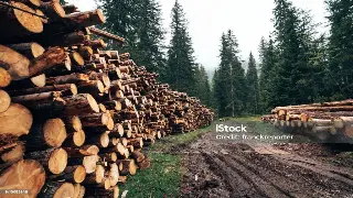 广州SPA大作战：日式VS泰式，谁才是你的解压神器？深度测评来啦！