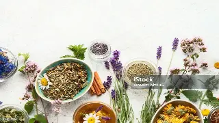 广州桑拿体验深度解析：从会所对比到完美身心释放