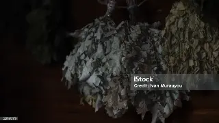 广州按摩避坑指南：老司机带你深度对比，告别无效消费！