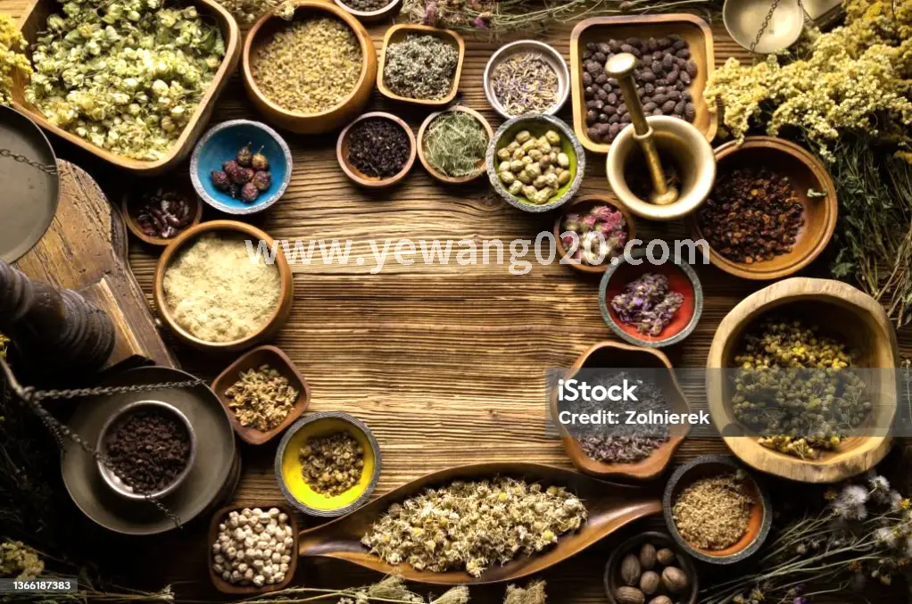 广州按摩入门体验