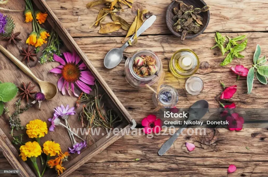 按摩球使用示意图