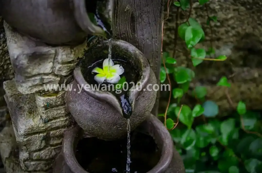 精油开背过程图