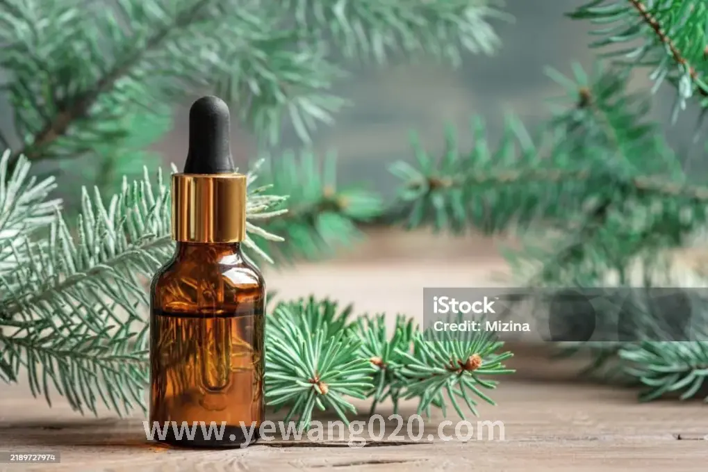 按摩师正在为顾客进行肩颈按摩