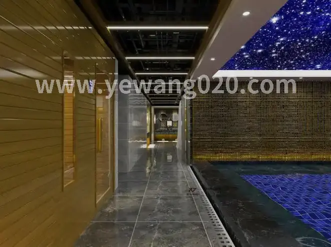 光疗桑拿的科技感