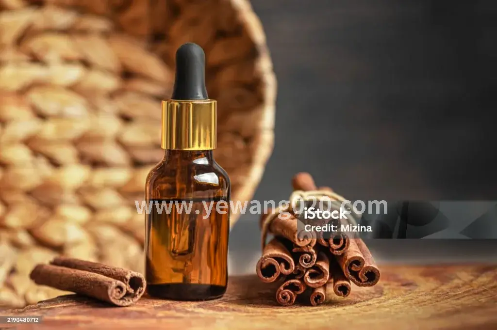 桑拿房外的休息区