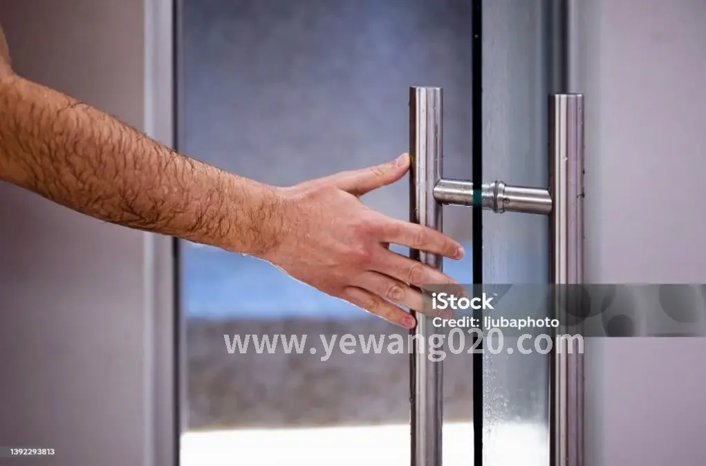 桑拿房里的草本植物